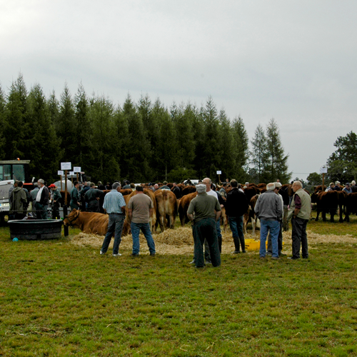 DSC4989a