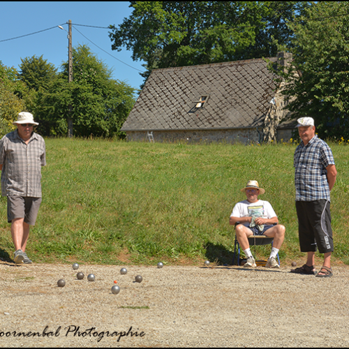 31-DSC_2551