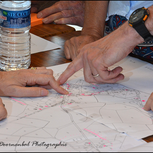 14-DSC_2894a