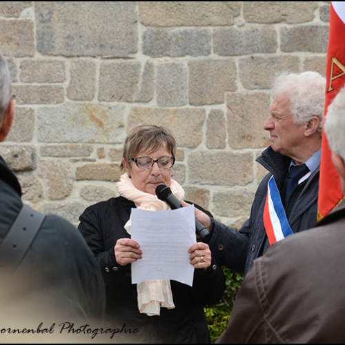 11-DSC_5460a