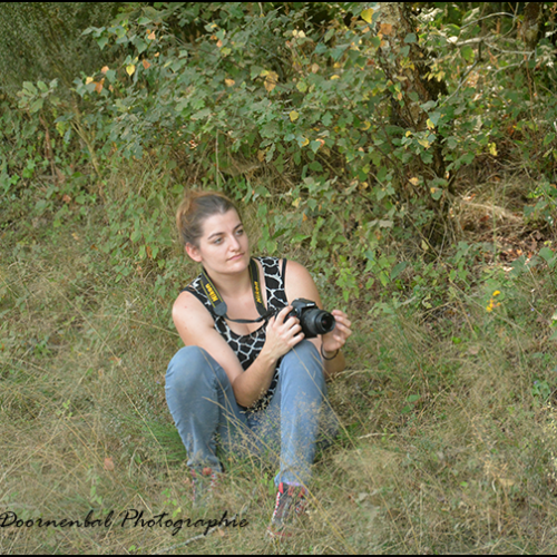 7197-DSC_7197a