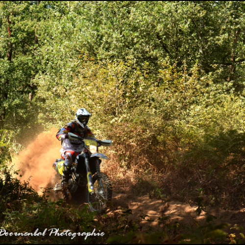 7263-DSC_7263a