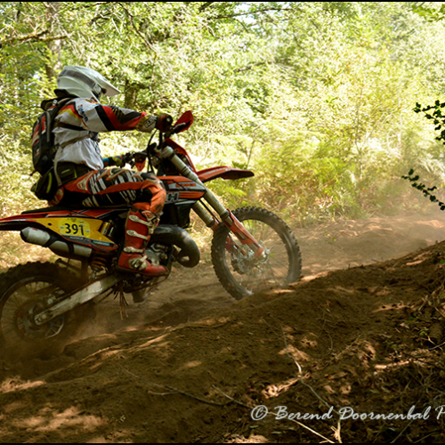 7305-DSC_7305a