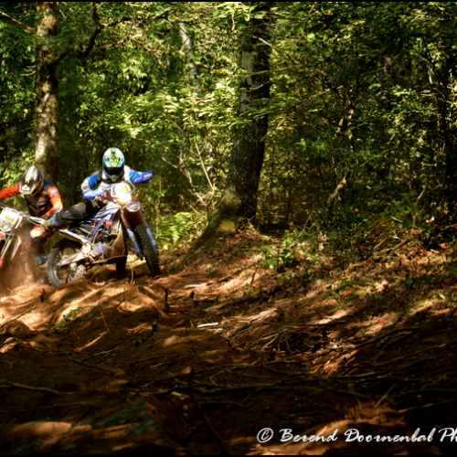 7323-DSC_7323a