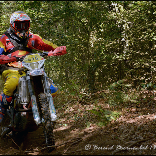 7334-DSC_7334a
