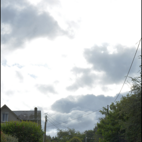 DSC2445a