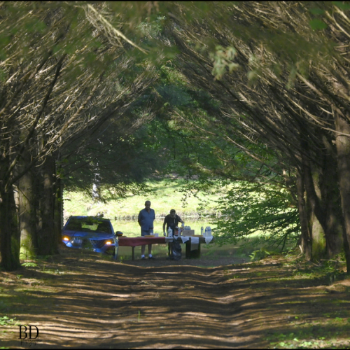 DSC0194ab