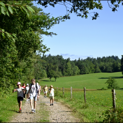 DSC0203ab