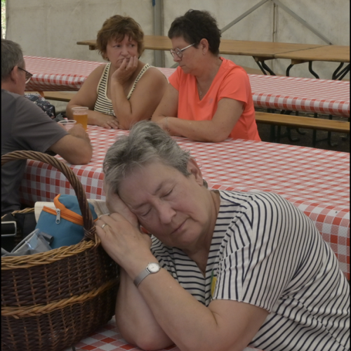 DSC7090a