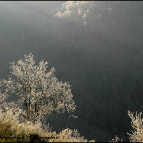 2012-01-servieres-dsc9279_orig