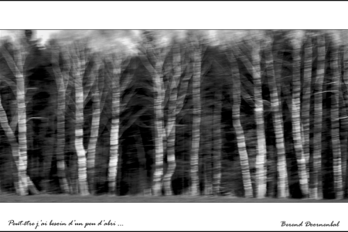 Un peu de mélancolie, photos - phrases.