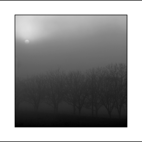 2019-01-DSC_1640-dans-le-lot-zw