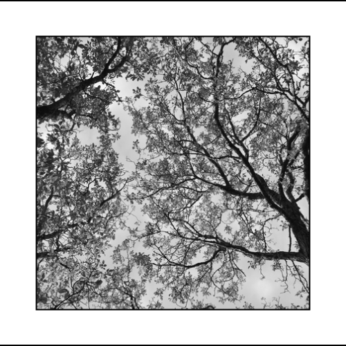 2024-06_DSC4895nb