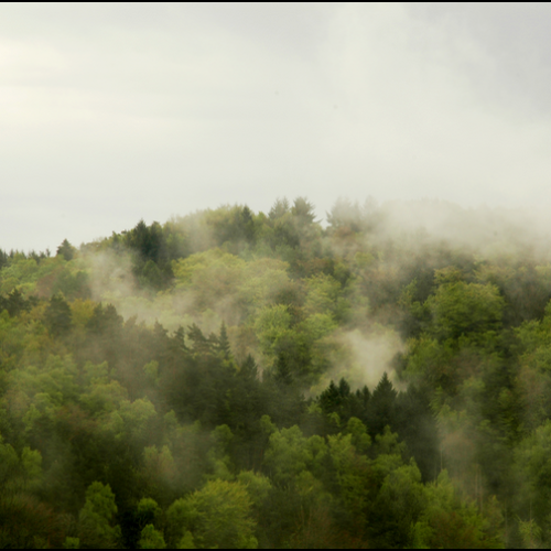 1_2015-04-Vallee-Glane-DSC_9887a