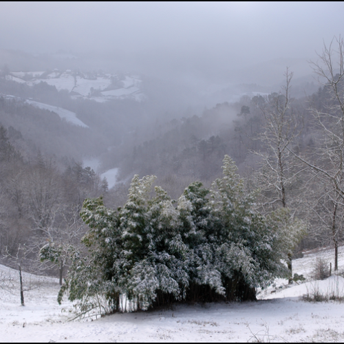 2012-02-St-Chamant-DSC_9864a