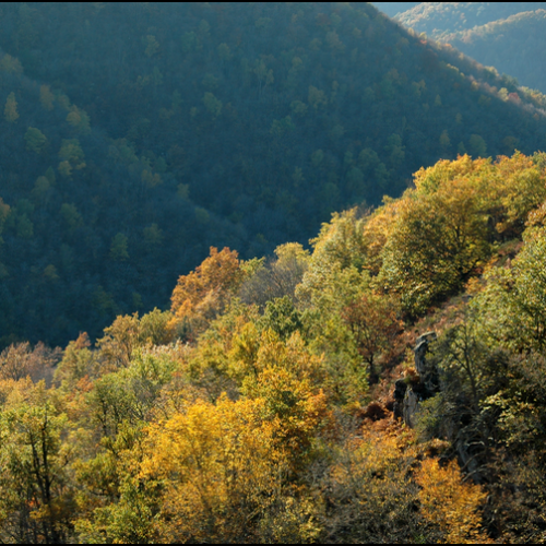 2015-10-Vallee-Glane-DSC_1786