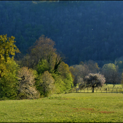2021-04-Monceaux-DSC_8088a
