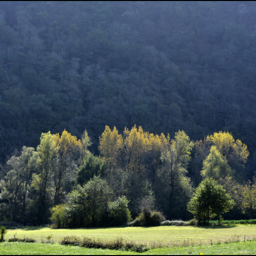 2022-11-Vallee-Dordogne_DSC0098a