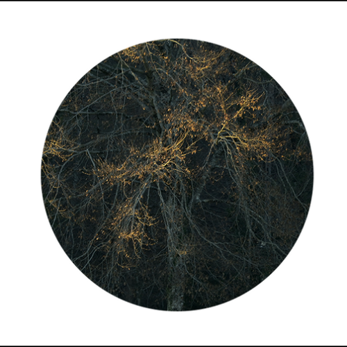 1_2024-12_DSC1106a-PSa