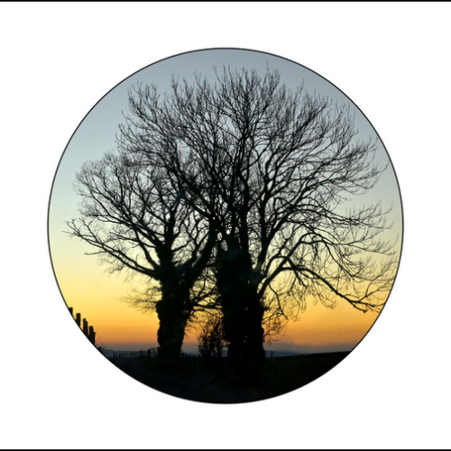 1_2025-01_DSC1190a-rond