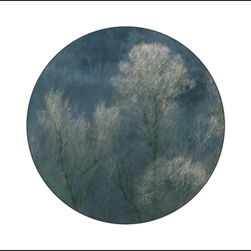 1_2025-01_DSC1198a-rond