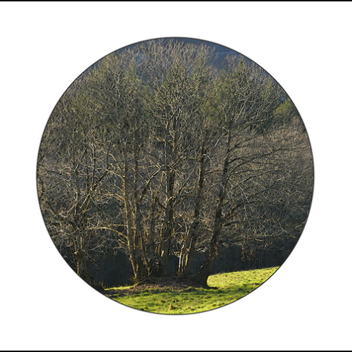 1_2025-01_DSC1207-croquis-orig-rond