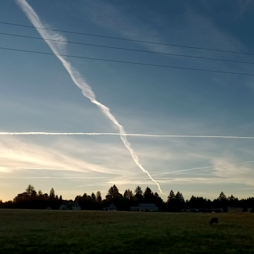 2020-09-IMG20200819071820_01