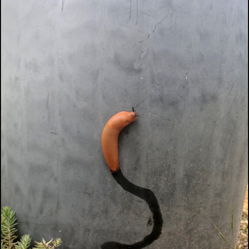 2024-05-IMG20240522190623-a